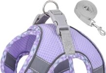 Petank No Pull Dog Harness Green XXS review