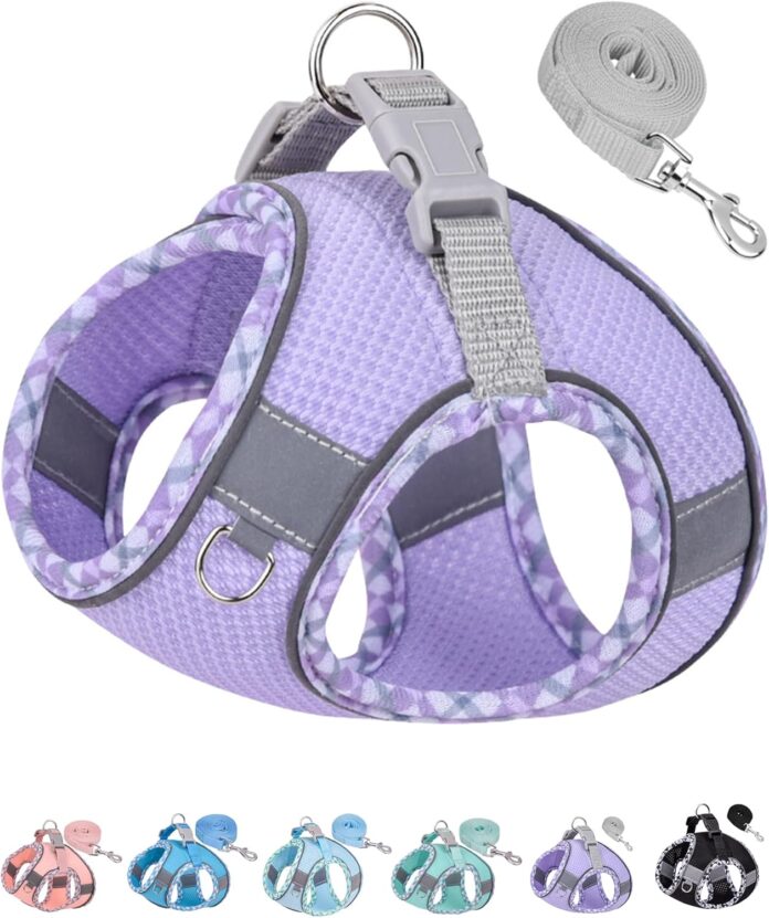 petank-dog-harness-for-small-medium-dogs-no-pull-puppy-harness-and-leash-set-step-in-dog-harness-for-walking-running-tra