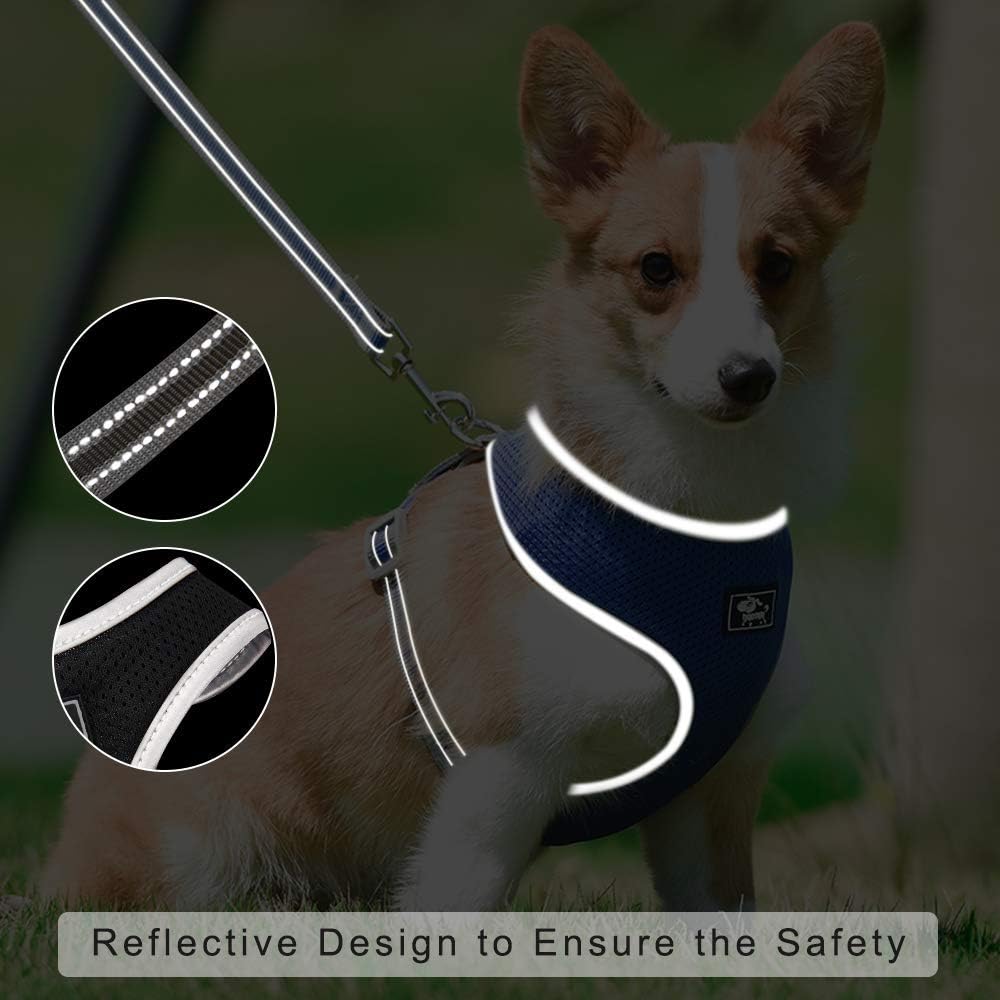 Puppy Harness and Leash Set- XS and Small Dog Harness - Adjustable Reflective Step in Harness for Dogs - Soft Mesh Comfort Fit No Pull No Choke (XS, Black)