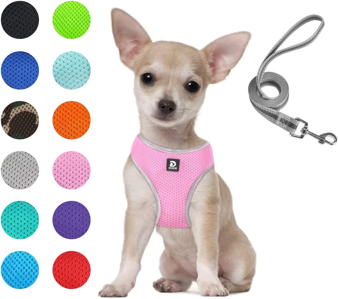 Puppy Harness and Leash Set- XS and Small Dog Harness - Adjustable Reflective Step in Harness for Dogs - Soft Mesh Comfort Fit No Pull No Choke (XS, Black)