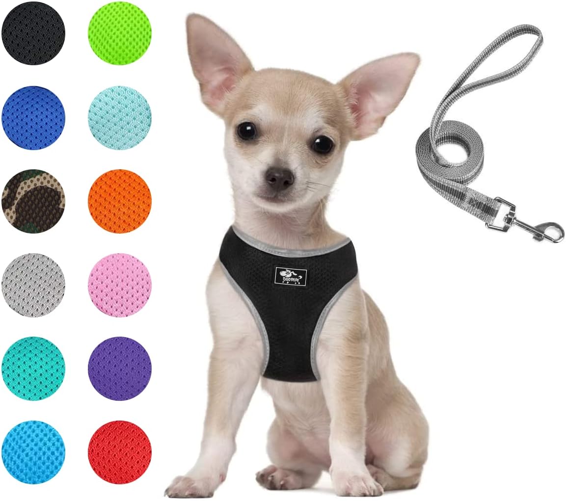Puppy Harness and Leash Set- XS and Small Dog Harness - Adjustable Reflective Step in Harness for Dogs - Soft Mesh Comfort Fit No Pull No Choke (XS, Black)