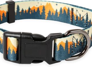 Timos Dog Collar review