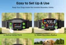 GPS Dog Collar Fence System Review