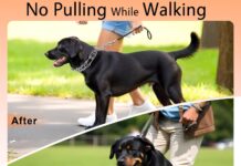 Stainless Steel Dog Training Collar review