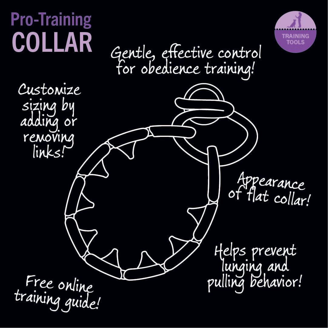 Starmark Pro-Training Dog Collar Large Starmark Pro-Training Dog Collar Large