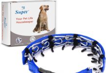 Supet Dog Choke Collar review