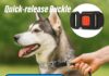 Adjustable Prong Collar for Large Dogs review