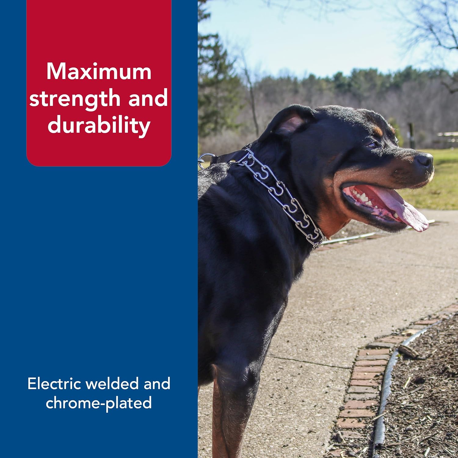 Coastal Pet Titan Easy-On Dog Prong Training Collar - Durable Metal Collar with Side Release Buckle - Black, 3.3 mm x 20 Coastal Pet Titan Easy-On Dog Prong Training Collar - Durable Metal Collar with Side Release Buckle - Black, 3.3 mm x 20