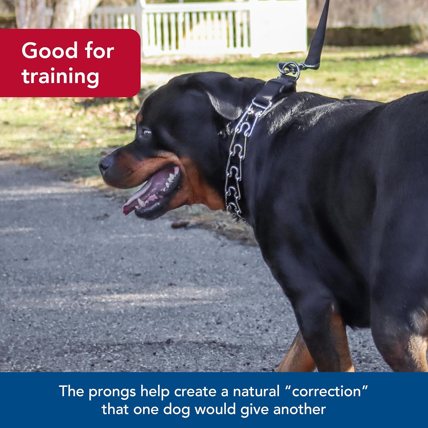 Coastal Pet Titan Easy-On Dog Prong Training Collar - Durable Metal Collar with Side Release Buckle - Black, 3.3 mm x 20 Coastal Pet Titan Easy-On Dog Prong Training Collar - Durable Metal Collar with Side Release Buckle - Black, 3.3 mm x 20