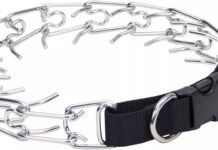 Coastal Pet Titan Easy-On Dog Prong Collar review
