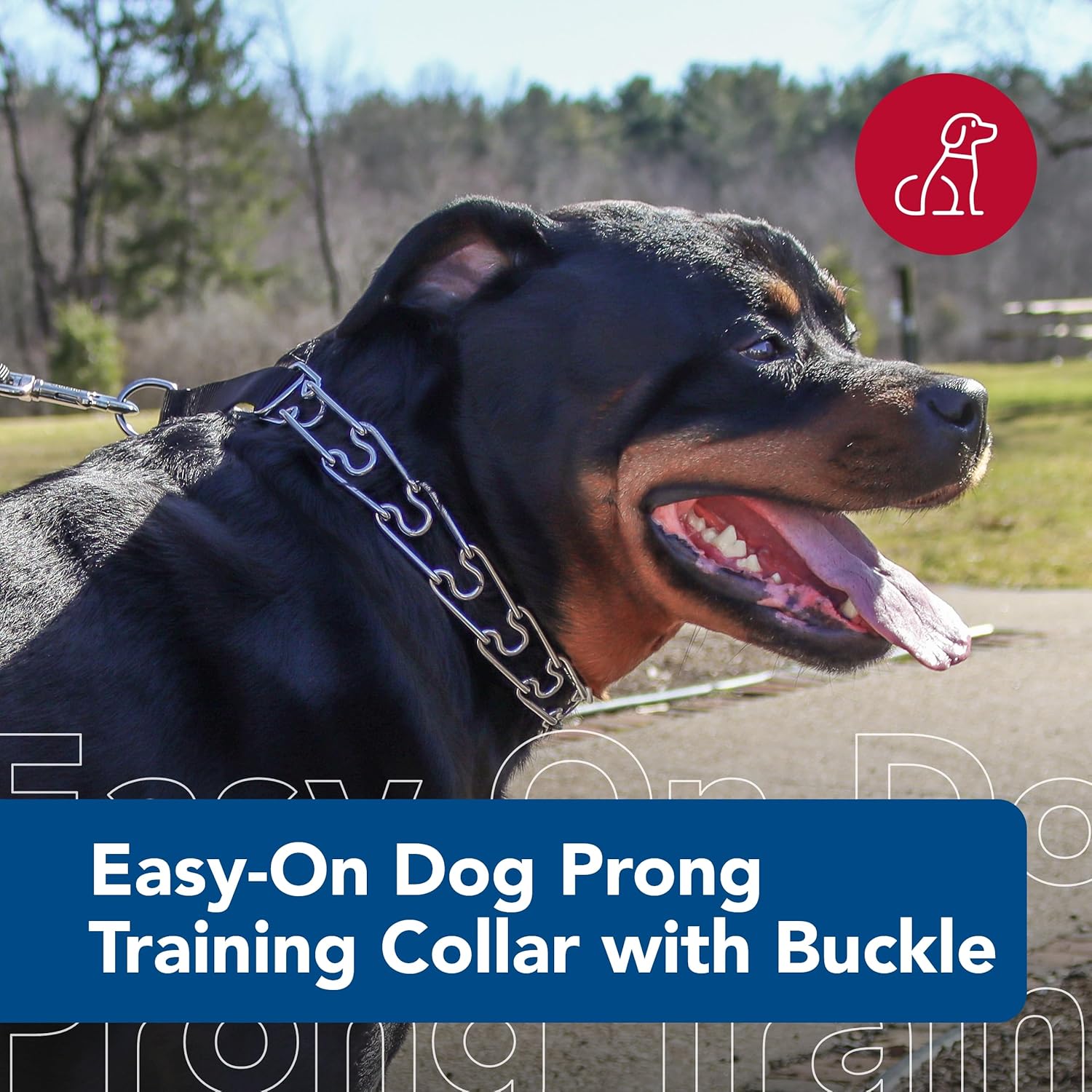 Coastal Pet Titan Easy-On Dog Prong Training Collar - Durable Metal Collar with Side Release Buckle - Black, 3.3 mm x 20 Coastal Pet Titan Easy-On Dog Prong Training Collar - Durable Metal Collar with Side Release Buckle - Black, 3.3 mm x 20