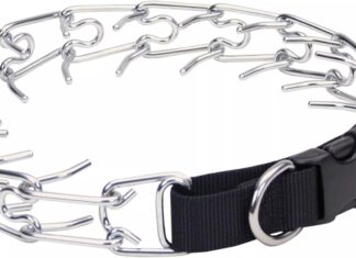 Coastal Pet Titan Easy-On Dog Prong Collar review Home |