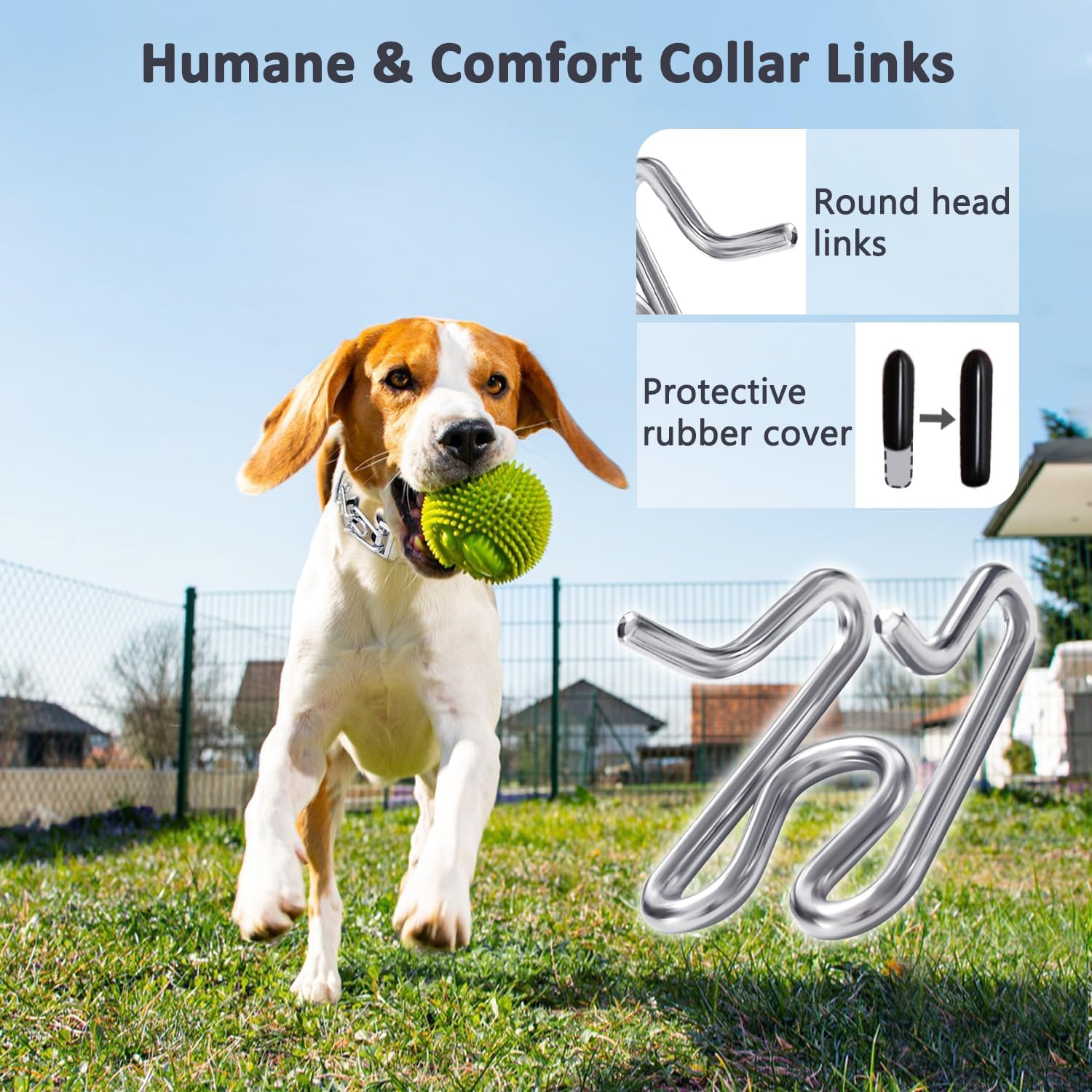 Dog Collar with Buckle Adjustable Dogs Collars for Small Medium Large Dog Dog Collar with Buckle Adjustable Dogs Collars for Small Medium Large Dog