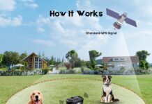 Electric Dog Fence for Outdoor review