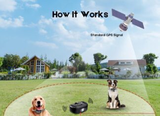 Electric Dog Fence for Outdoor review Home |