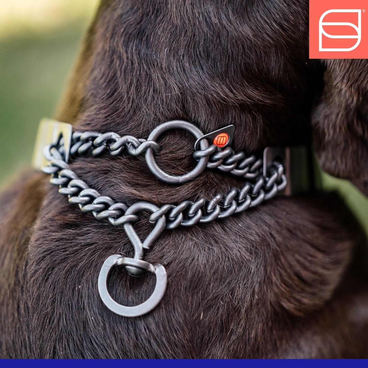 Herm. Sprenger NeckTech Sport Prong Dog Training Collar with Quick Release Snap and Swivel, Anti Pull Training Pinch Collar, Stainless Steel Black Matte (18 Neck Size; 20 Chain Length) Herm. Sprenger NeckTech Sport Prong Dog Training Collar with Quick Release Snap and Swivel, Anti Pull Training Pinch Collar, Stainless Steel Black Matte (18 Neck Size; 20 Chain Length)