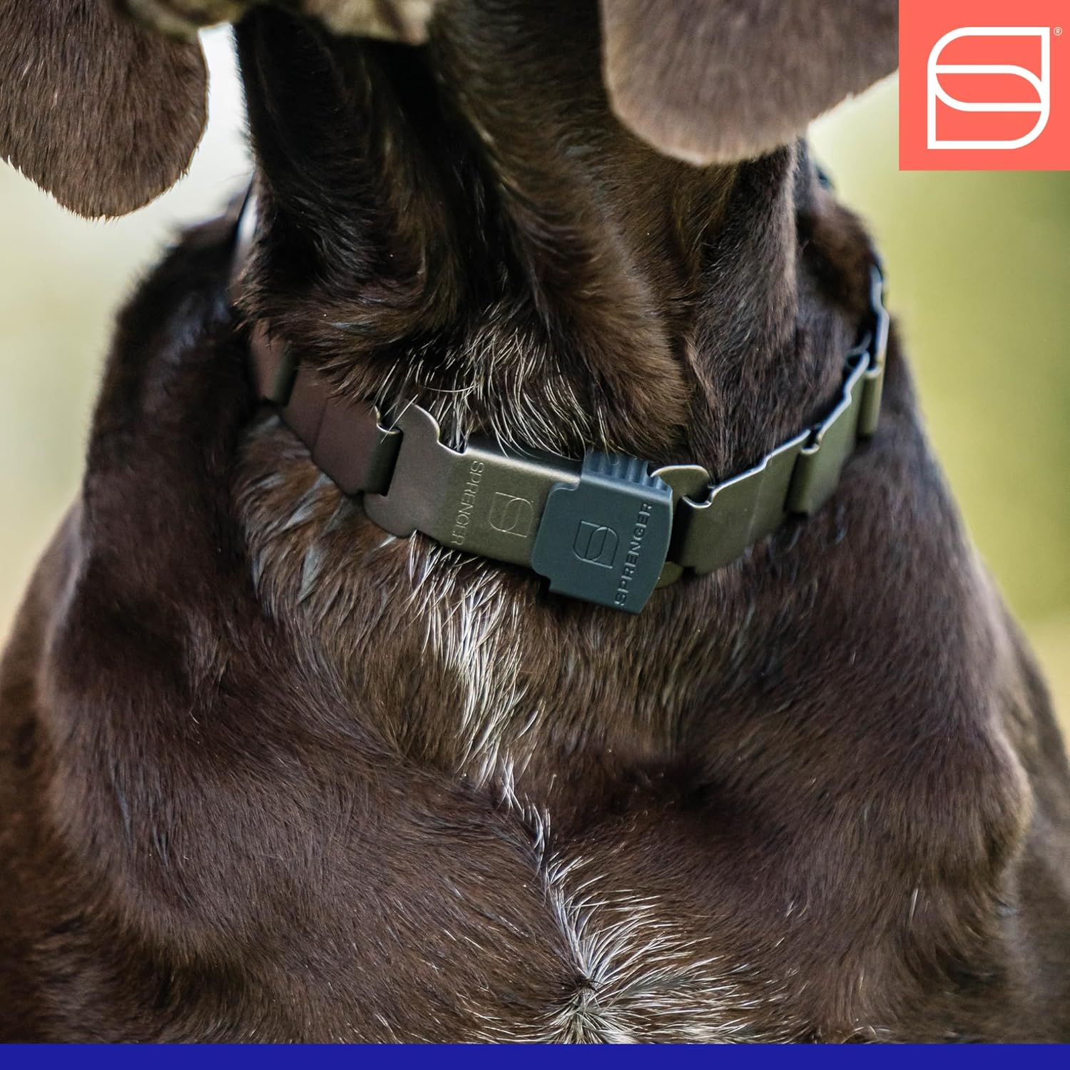 Herm. Sprenger NeckTech Sport Prong Dog Training Collar with Quick Release Snap and Swivel, Anti Pull Training Pinch Collar, Stainless Steel Black Matte (18 Neck Size; 20 Chain Length) Herm. Sprenger NeckTech Sport Prong Dog Training Collar with Quick Release Snap and Swivel, Anti Pull Training Pinch Collar, Stainless Steel Black Matte (18 Neck Size; 20 Chain Length)