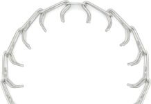 Herm Sprenger Prong Dog Collar review