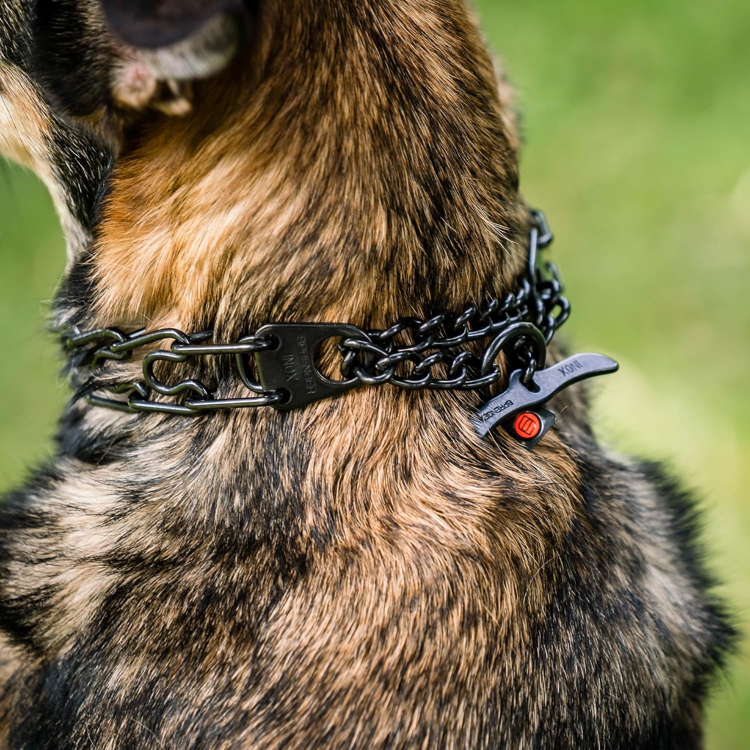 Herm. Sprenger Ultra-Plus Prong Dog Training Collar, Anti Pull Training Pinch Collar, (Stainless Steel Black, 3.0 mm Short Links x 18 Neck Size; 19-20 Chain Length) - Toggle Version Herm. Sprenger Ultra-Plus Prong Dog Training Collar, Anti Pull Training Pinch Collar, (Stainless Steel Black, 3.0 mm Short Links x 18 Neck Size; 19-20 Chain Length) - Toggle Version