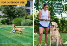 Wireless Dog Fence System & Remote Training Collar review