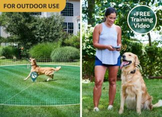Wireless Dog Fence System & Remote Training Collar review Home |