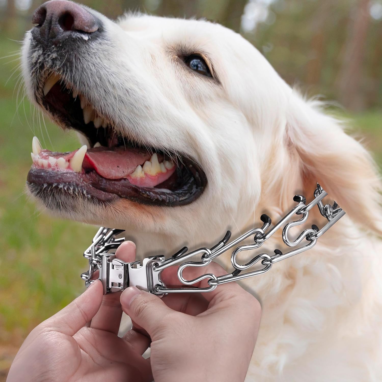 Dog Collar Buckle, Quick Release Stainless Steel Buckle for Small Medium Large Dog Training Collar (2.25mm) Dog Collar Buckle, Quick Release Stainless Steel Buckle for Small Medium Large Dog Training Collar (2.25mm)