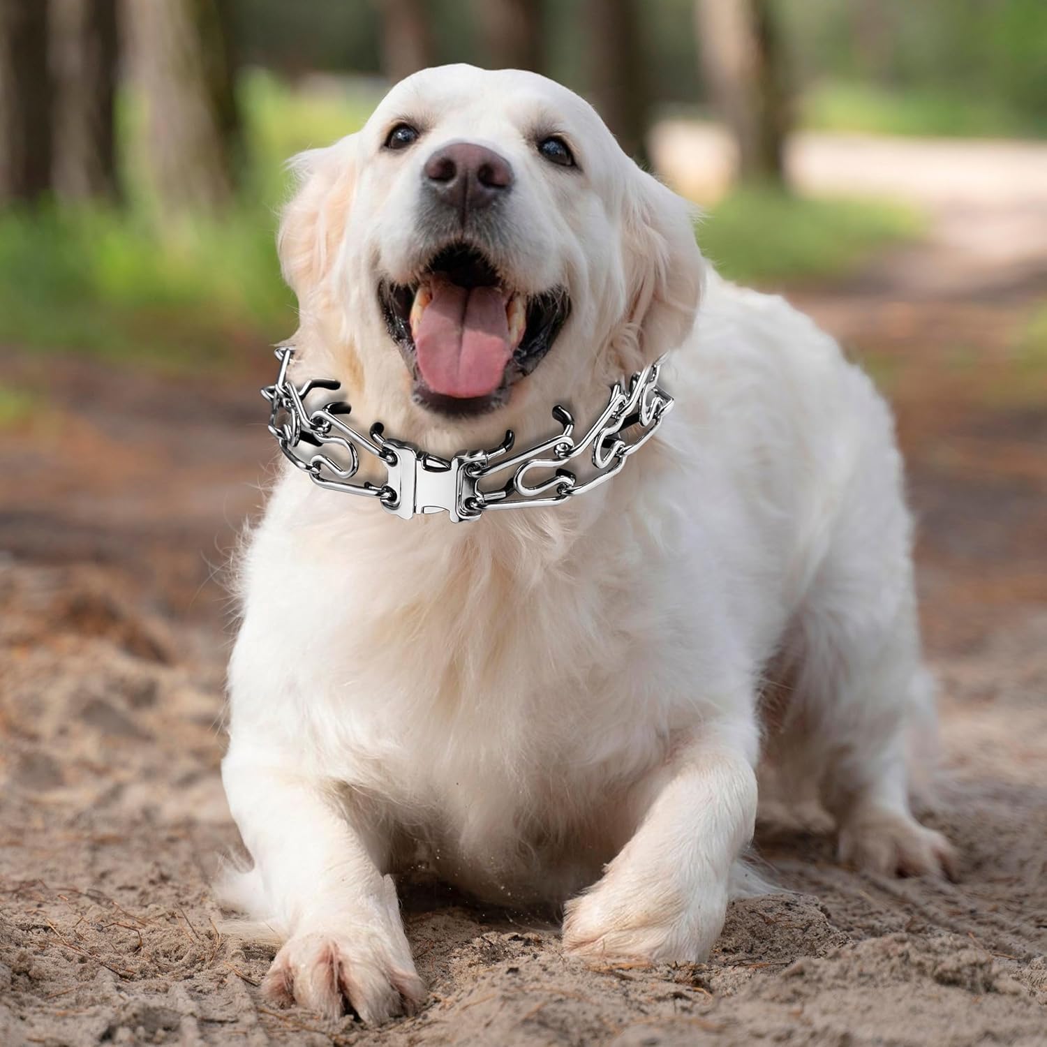 Dog Collar Buckle, Quick Release Stainless Steel Buckle for Small Medium Large Dog Training Collar (2.25mm) Dog Collar Buckle, Quick Release Stainless Steel Buckle for Small Medium Large Dog Training Collar (2.25mm)