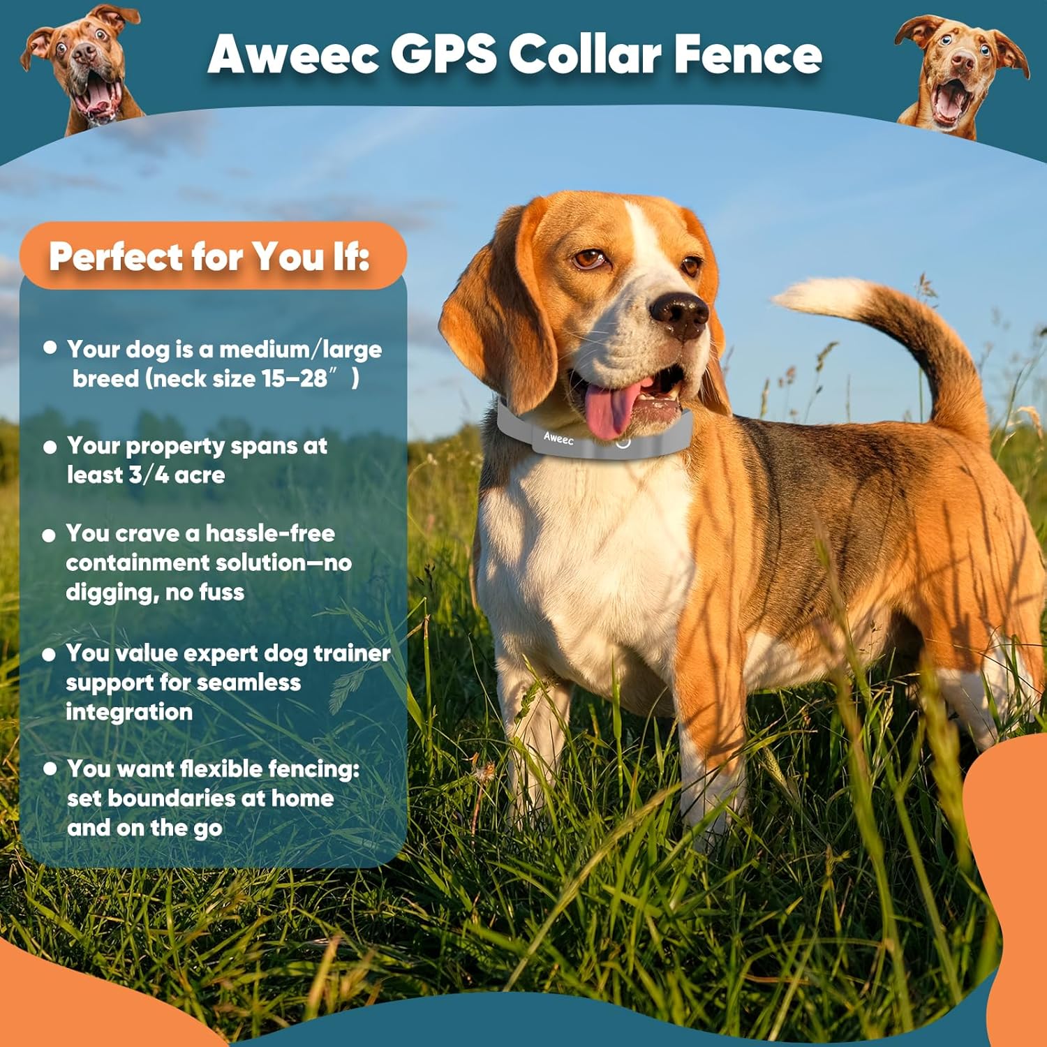 GPS Wireless Dog Fence with Free App, Electric Fence System with Training Collar, Portable Fence for Outdoor Use, Rechargeable Waterproof Flexiable Collar, Adjustable for Large Medium Dogs (Grey) GPS Wireless Dog Fence with Free App, Electric Fence System with Training Collar, Portable Fence for Outdoor Use, Rechargeable Waterproof Flexiable Collar, Adjustable for Large Medium Dogs (Grey)
