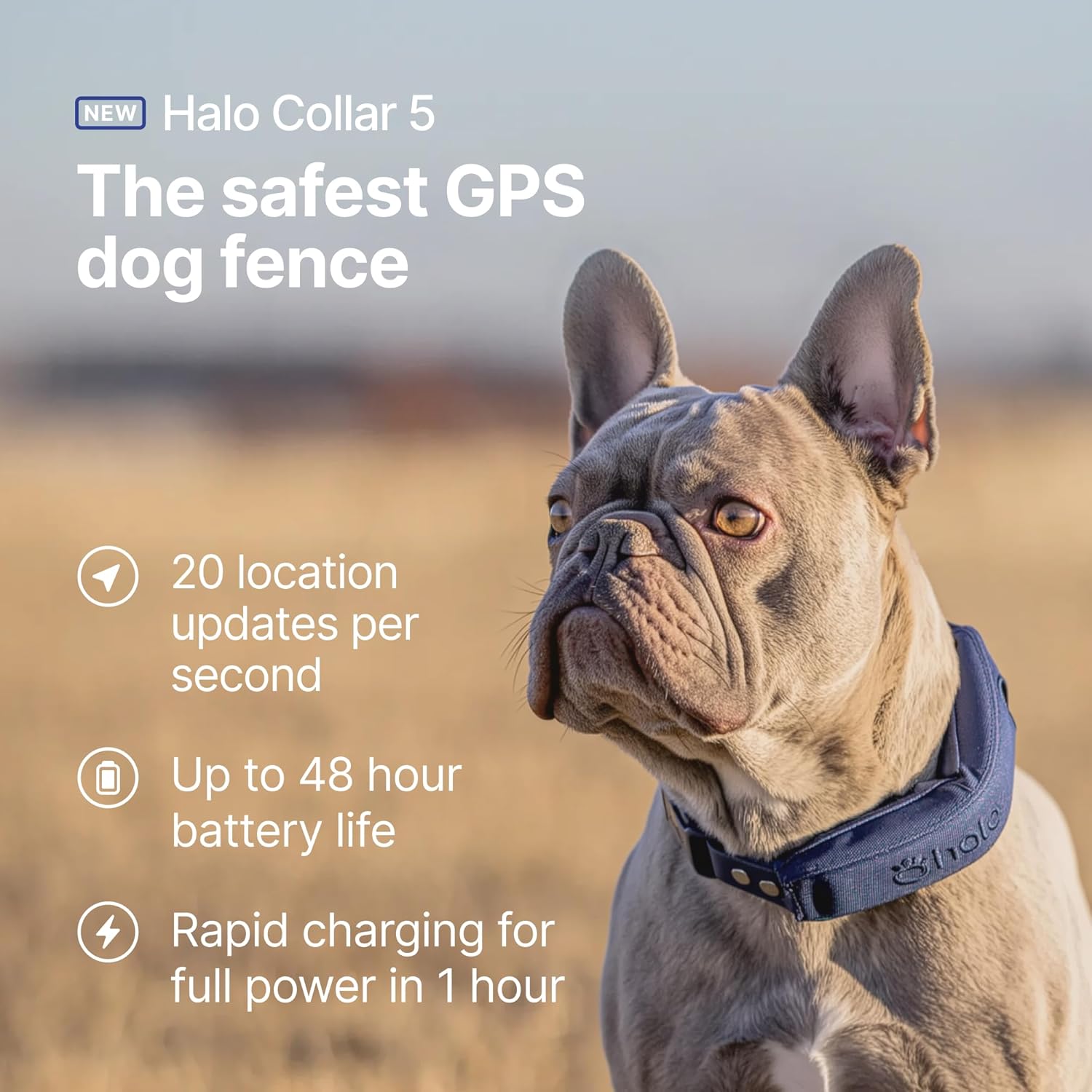 Halo Collar 5 Wireless Dog Fence GPS Dog Collar, Keep Your Dog Safely Contained Outdoors with App-Controlled Boundaries and Real-Time Tracking, One Size, Midnight Halo Collar 5 Wireless Dog Fence GPS Dog Collar, Keep Your Dog Safely Contained Outdoors with App-Controlled Boundaries and Real-Time Tracking, One Size, Midnight