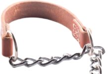 Joel Silverman Alternative Training Collar review