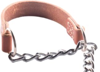 Joel Silverman Alternative Training Collar review Home |