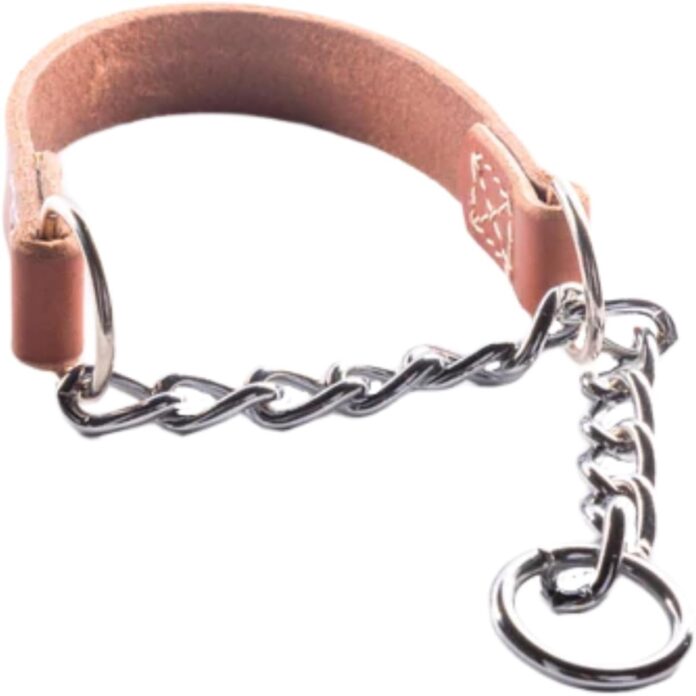 joel-silverman-alternative-training-collar-gentle-no-pull-dog-collar-leather-chain-combo-for-humane-low-neck-control-tra