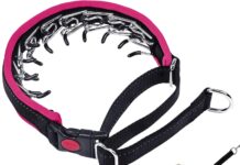 Martingale No Pull Dog Collar M Hot Pink review
