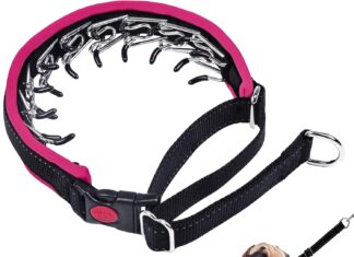Martingale No Pull Dog Collar M Hot Pink review Home |