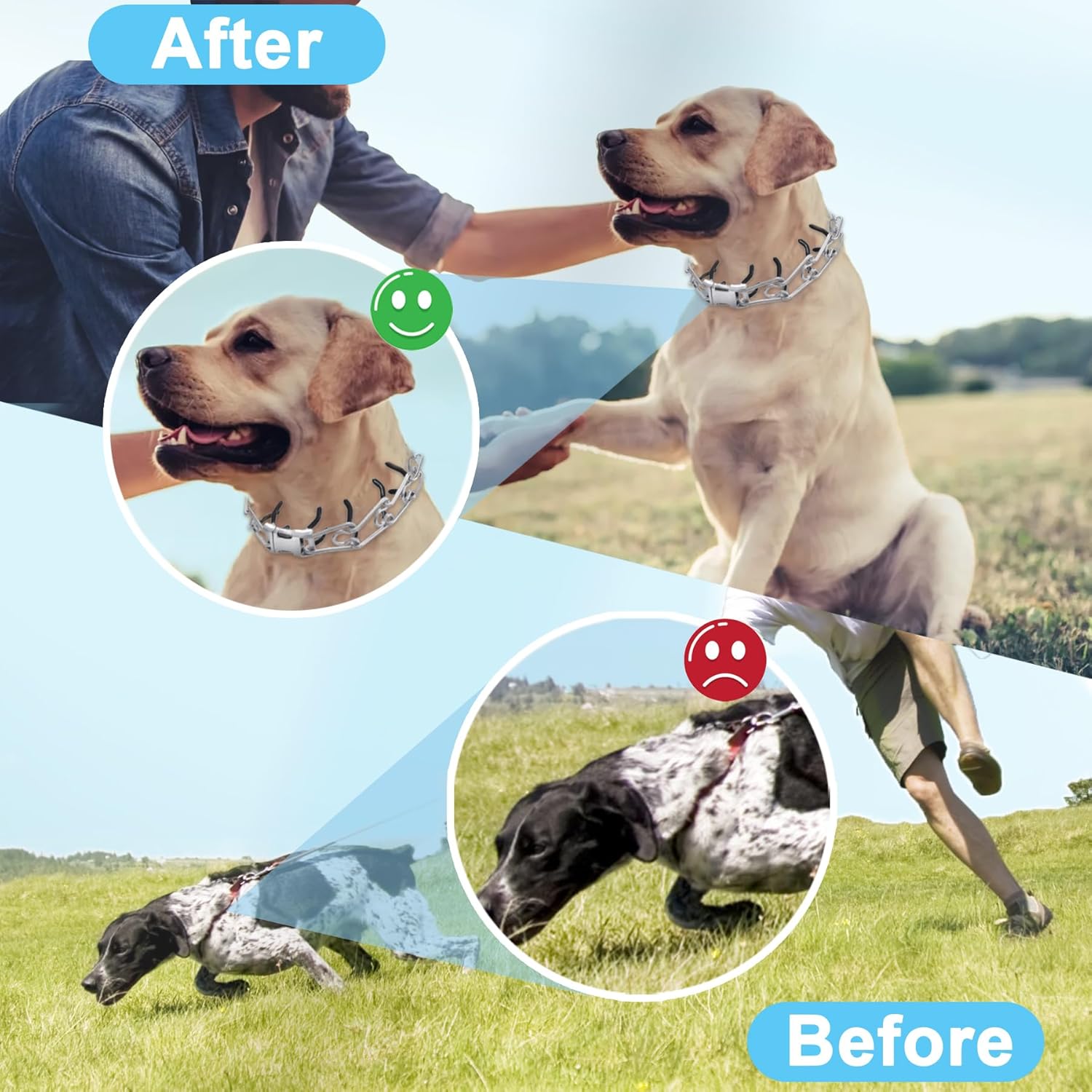 Prong Training Collar for Dogs, Adjustable Dog Training Pinch Collar with Quick Release Buckle, No Pull Collar for Small Medium Large Dogs, Extra Link and Caps (XL (21-26 Neck, 4.0mm)) Prong Training Collar for Dogs, Adjustable Dog Training Pinch Collar with Quick Release Buckle, No Pull Collar for Small Medium Large Dogs, Extra Link and Caps (XL (21-26 Neck, 4.0mm))