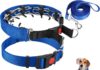 Prong Training Collar with Comfort Tips review