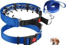 Prong Training Collar with Comfort Tips review