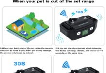 WIEZ Pet Containment System review