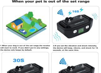 WIEZ Pet Containment System review Home |