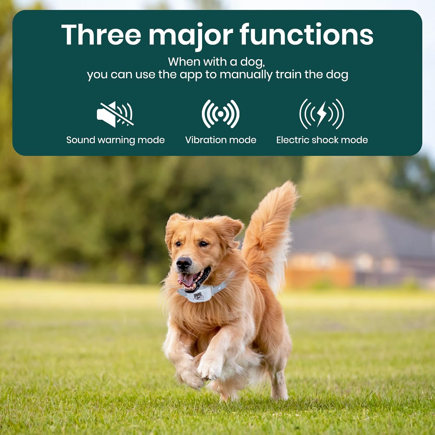 GPS Dog Collar with Wireless Electronic Boundary & Training – No Subscription Needed,Smart Waterproof trainable Fence, App-Controlled Safe Zone, Outdoor Fence for Pets System review | Reviews https://www.amazon.com/dp/B0G53JS3NT - GPS Dog Collar with Wireless Electronic Boundary & Training – No Subscription Needed,Smart Waterproof trainable Fence, App-Controlled Safe Zone, Outdoor Fence for Pets System review