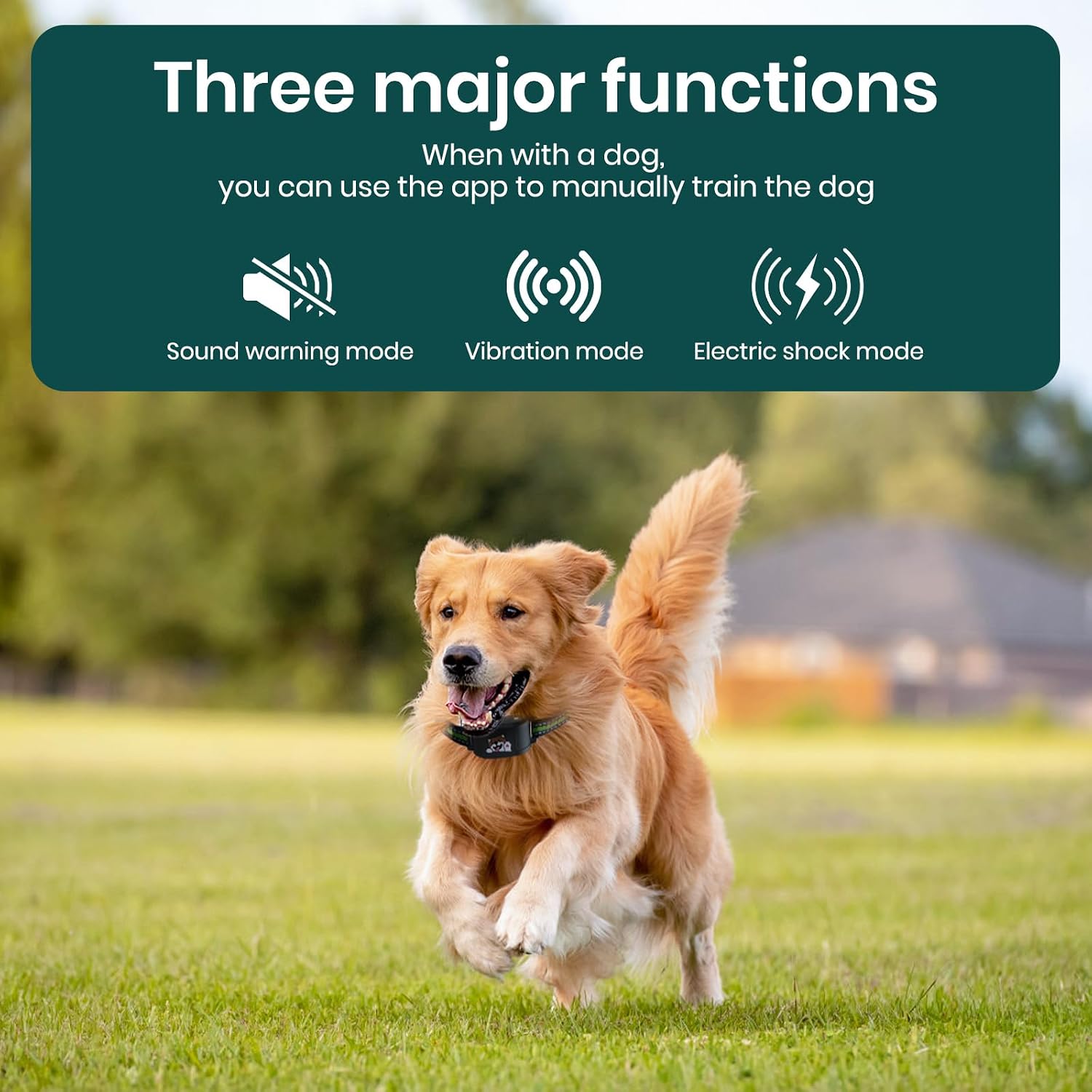 GPS Dog Electronic Fence, Wireless Training Collar- No Subscription Required, Customizable Boundaries via App 3280 FT, IPX7 Waterproof Rechargeable Collar, Smart Training Fence, Automatic Sleep/Wake review | Reviews GPS Dog Electronic Fence, Wireless Training Collar- No Subscription Required, Customizable Boundaries via App FT, IPX7
