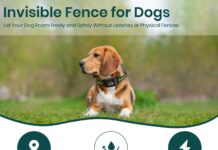 GPS Dog Electronic Fence, Wireless Training Collar- No Subscription Required, Customizable Boundaries via App 3280 FT, IPX7 Waterproof Rechargeable Collar, Smart Training Fence, Automatic Sleep/Wake review GPS Dog Electronic Fence, Wireless Training Collar- No Subscription Required, Customizable Boundaries via App FT, IPX7