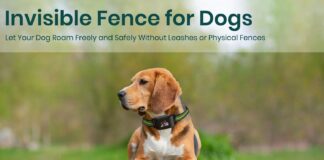 GPS Dog Electronic Fence, Wireless Training Collar- No Subscription Required, Customizable Boundaries via App FT, IPX7