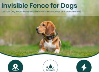 GPS Dog Electronic Fence, Wireless Training Collar- No Subscription Required, Customizable Boundaries via App 3280 FT, IPX7 Waterproof Rechargeable Collar, Smart Training Fence, Automatic Sleep/Wake review GPS Dog Electronic Fence, Wireless Training Collar- No Subscription Required, Customizable Boundaries via App FT, IPX7